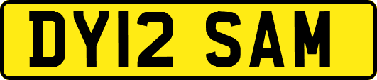 DY12SAM
