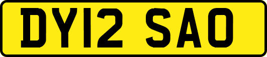 DY12SAO