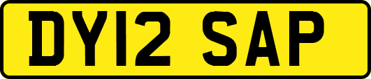 DY12SAP