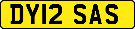 DY12SAS
