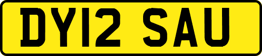 DY12SAU