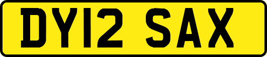DY12SAX