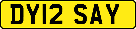 DY12SAY