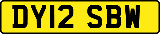DY12SBW