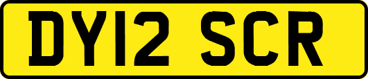 DY12SCR