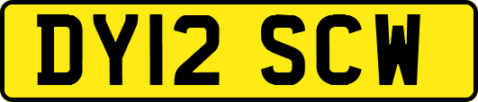 DY12SCW