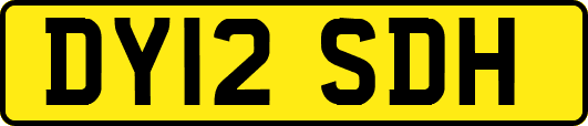 DY12SDH