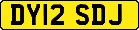 DY12SDJ