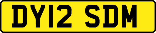 DY12SDM