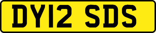 DY12SDS