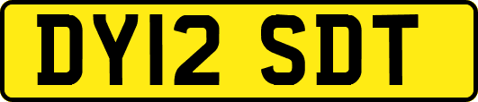 DY12SDT