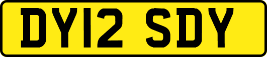 DY12SDY