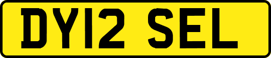 DY12SEL