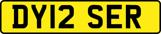 DY12SER