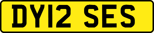 DY12SES