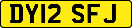 DY12SFJ