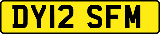 DY12SFM