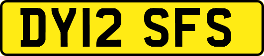 DY12SFS