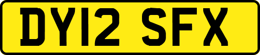DY12SFX