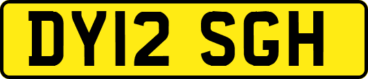 DY12SGH