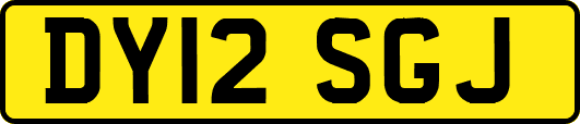 DY12SGJ