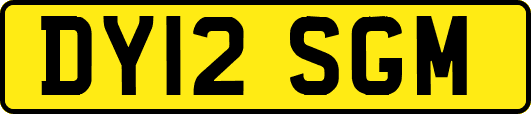 DY12SGM