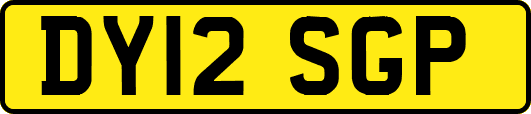 DY12SGP