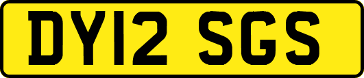 DY12SGS