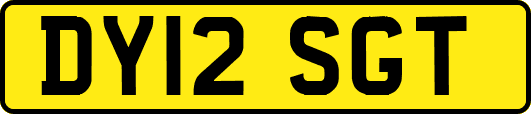 DY12SGT