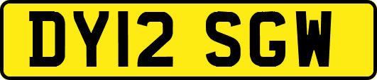 DY12SGW