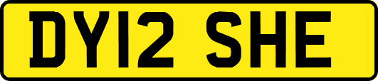 DY12SHE