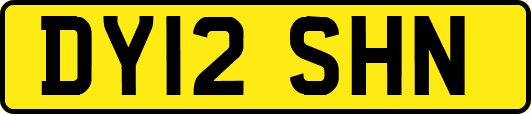DY12SHN