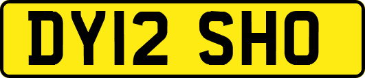 DY12SHO