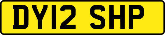 DY12SHP