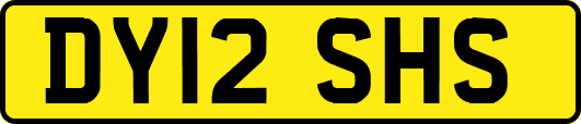 DY12SHS