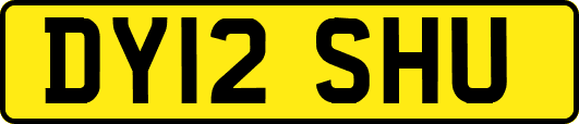 DY12SHU