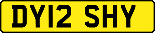 DY12SHY