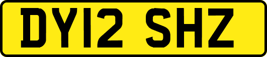 DY12SHZ