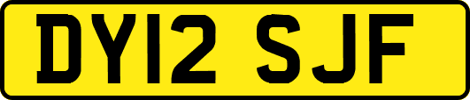 DY12SJF