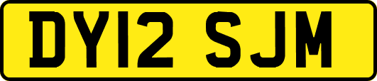 DY12SJM