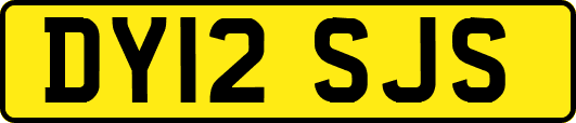 DY12SJS