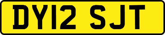 DY12SJT