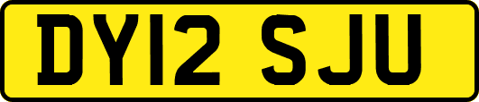 DY12SJU
