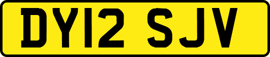DY12SJV