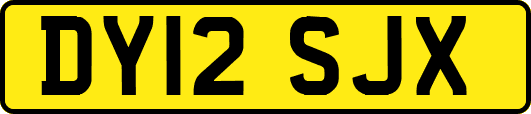 DY12SJX