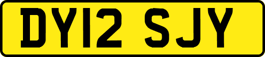 DY12SJY