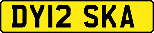 DY12SKA