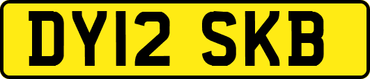 DY12SKB