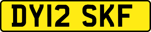 DY12SKF