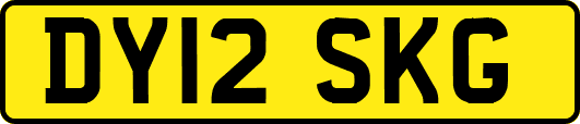 DY12SKG